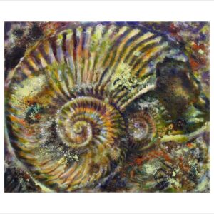 Ammonit Lobolytoceras