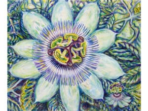PASSIONSBLÜTE – WUNDER DER SCHÖPFUNG - Original-Ölbild 100 x 120 cm, 2024, Ölfarbe, irisierende Acrylfarbe, Walnuss-Sud auf Leinwand