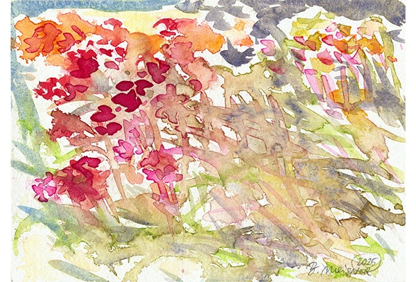 BLÜTENFELD - Original-Aquarell auf Aquarellpapier, 17 x 24 cm, Volksgarten Düsseldorf, Juni 2025. Die Unikate sind auf der Rückseite datiert und signiert. Dieses Werk ist auch als Kunstdruck zu erwerben.