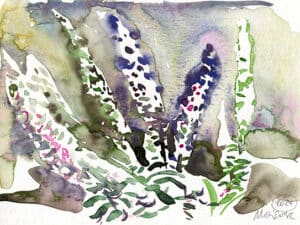 STAUDEN (Botanischer Garten Düsseldorf) - Original-Aquarell auf Aquarellpapier, 17 x 24 cm, Mai 2024