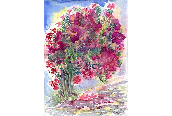 ALONNISOS – MAGIC GREEK OLEANDER aus der Serie „Magic Alonnisos“ Original-Aquarell auf Aquarellpapier, 17 x 24 cm, Alonnisos, Griechenland Juni 2025