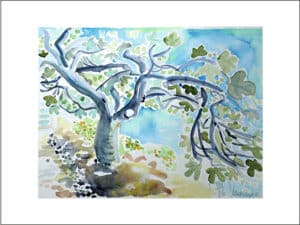 FEIGENBAUM - Hochwertige Kunstdrucke – eine wunderbare Alternative zum Original! Gedruckt auf archivfestem Büttenpapier oder Leinwand mit pigmentierten Tinten. Erhätlich in den Größen 18 x 24 cm, 30 x 40 cm, 50 x 60 cm oder in einer Größe/Ausschnitt deiner Wahl, rückseitig handsigniert und datiert, mit Künstlerstempel – in einer limitierten Auflage von sechs Exemplaren.