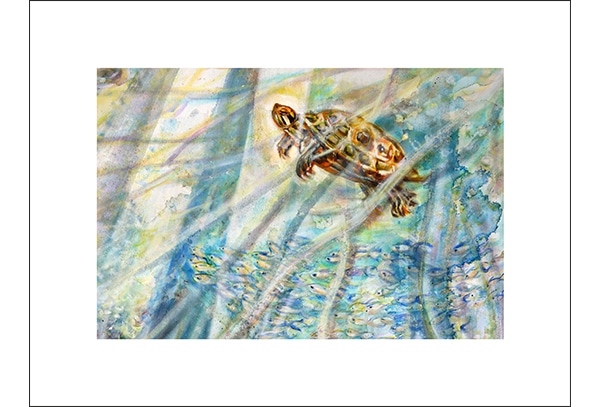 WASSERSCHILDKRÖTE - Hochwertige Kunstdrucke – eine wunderbare Alternative zum Original! Gedruckt auf archivfestem Büttenpapier oder Leinwand mit pigmentierten Tinten. Erhältlich in den Größen 18 x 24 cm, 30 x 40 cm, 50 x 60 cm oder in einer Größe/Ausschnitt deiner Wahl, rückseitig handsigniert und datiert, mit Künstlerstempel – in einer limitierten Auflage von sechs Exemplaren.