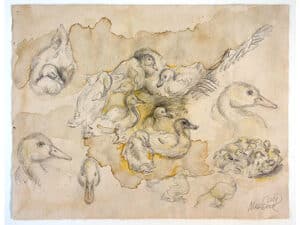 ENTENKÜKEN - Original-Zeichnung 23,5 x 30,5 cm, 2021, Graphit- und Farbstift auf präpariertem Papier     