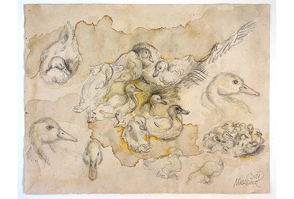 ENTENKÜKEN - Original-Zeichnung 23,5 x 30,5 cm, 2021, Graphit- und Farbstift auf präpariertem Papier     