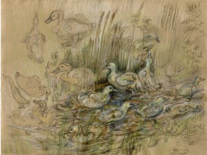 ENTEN IM WEISSENBRUNNER BACH - Original-Zeichnung 24 x 31 cm, 2021, Graphit- und Farbstift auf präpariertem Papier    