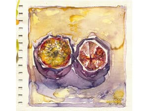PASSIONSFRUCHT - Original-Aquarell auf Aquarellpapier, 19 x 20 cm, 2024