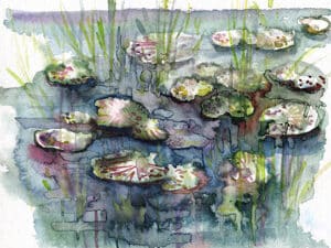 SEEROSEN IM WEISSENBRUNNER BAD 03 - Original-Aquarell auf Aquarellpapier, 17 x 24 cm, 2026