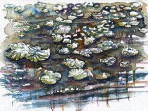 SEEROSEN IM WEISSENBRUNNER BAD 06 - Original-Aquarell auf Aquarellpapier, 17 x 24 cm, 2026